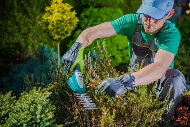landscaping services Village St. George